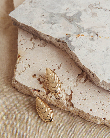 Gold Pippy Shell Earrings
