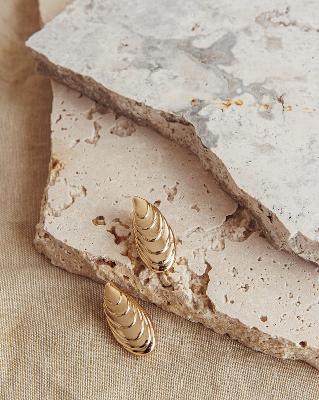Gold Pippy Shell Earrings